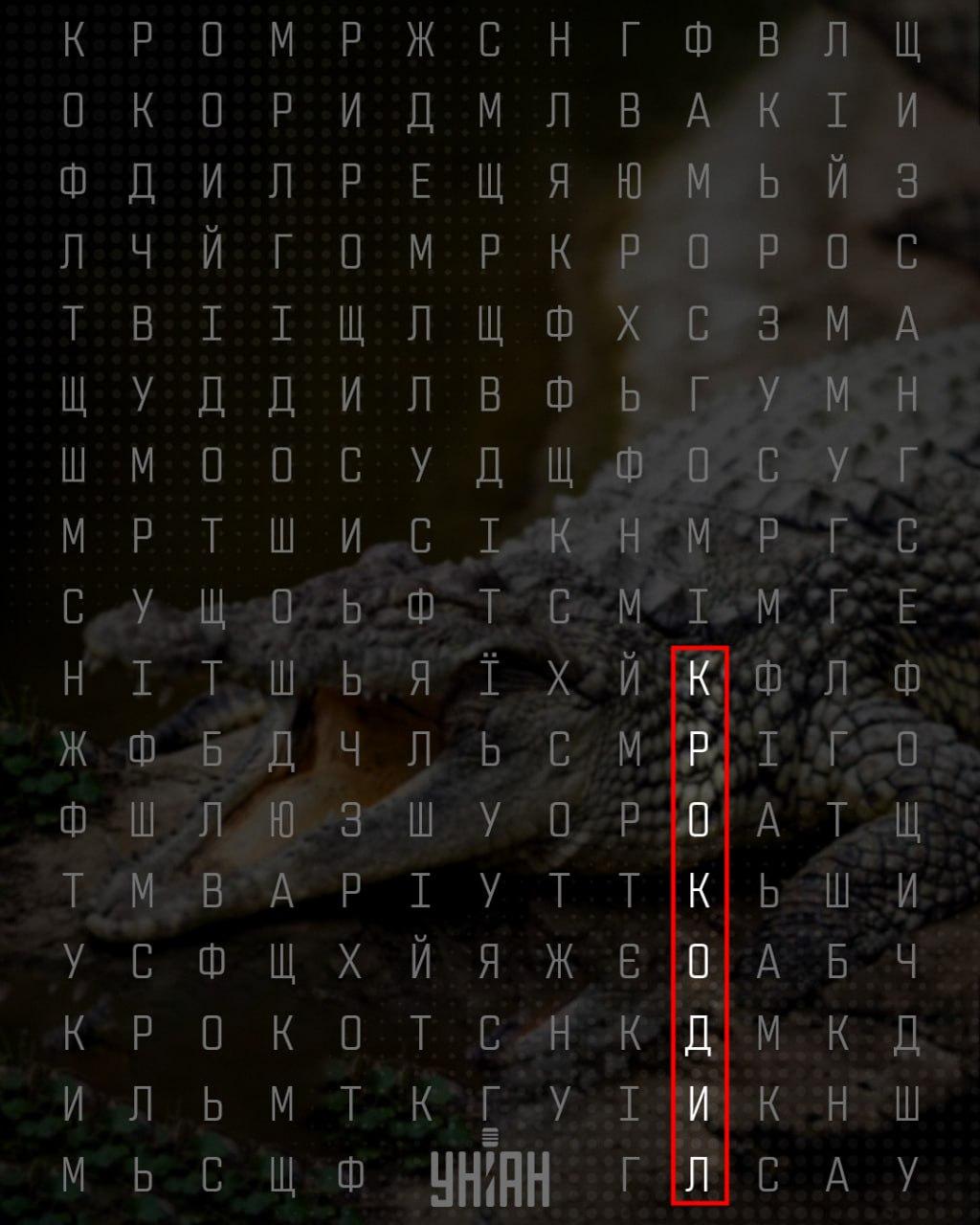 Moje collage Moje collage