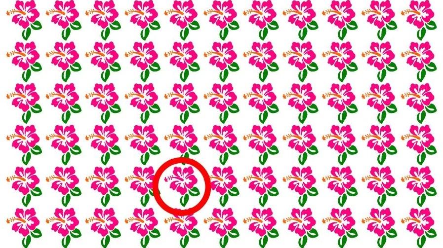 Svaret på pusslet / foto av Fresherslive Svaret på pusslet / foto av Fresherslive