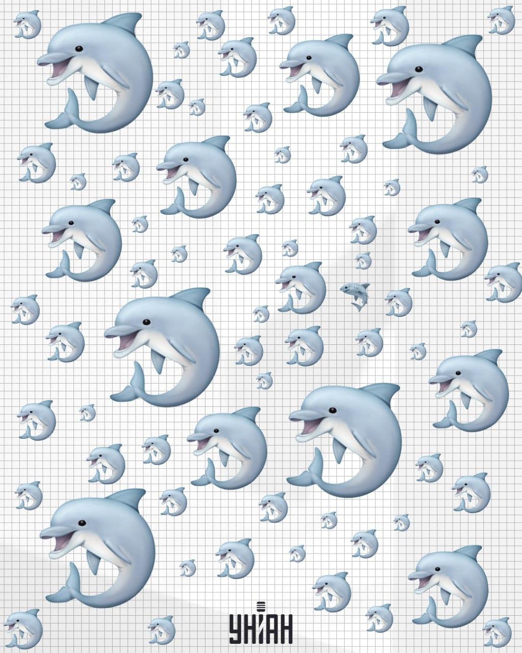 Det tar mindre än 10 sekunder att hitta en haj / Moje collage Det tar mindre än 10 sekunder att hitta en haj / Moje collage