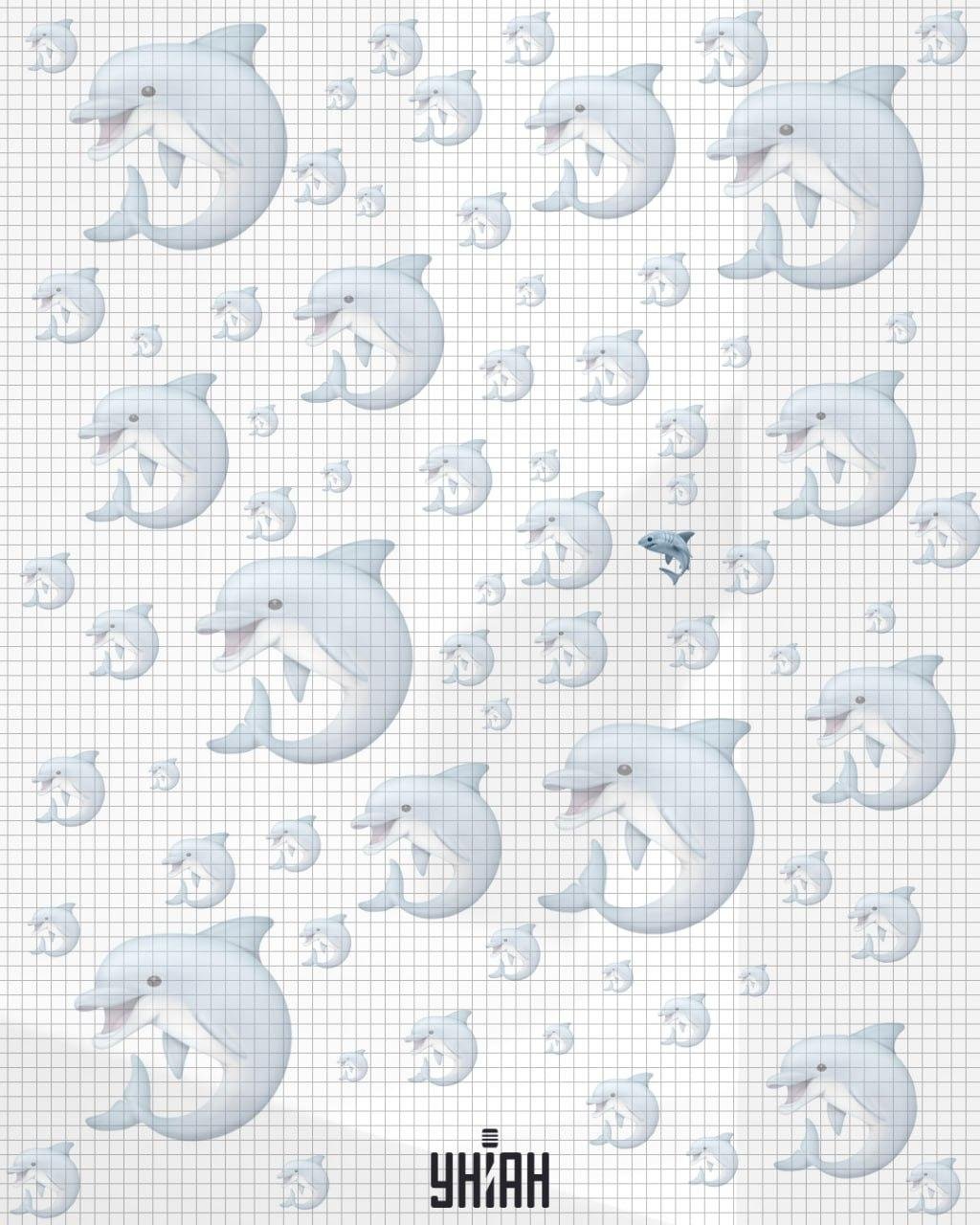 Hajen befann sig nära bildens mitt / Moje collage Hajen befann sig nära mitten av bilden / Moje collage