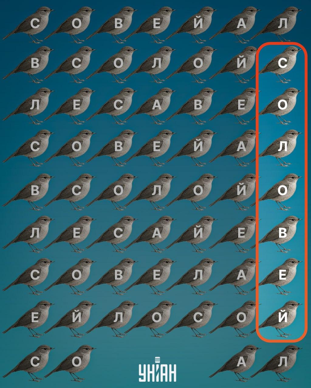 Moje collage Moje collage