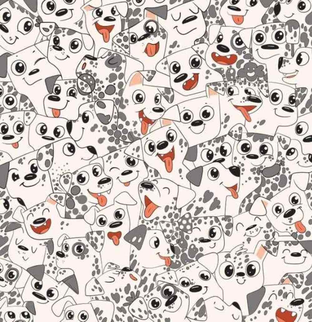 Försök att hitta en fjäril så snabbt som möjligt / Brightside-teckning Försök att hitta en fjäril så snabbt som möjligt / teckning av Brightside