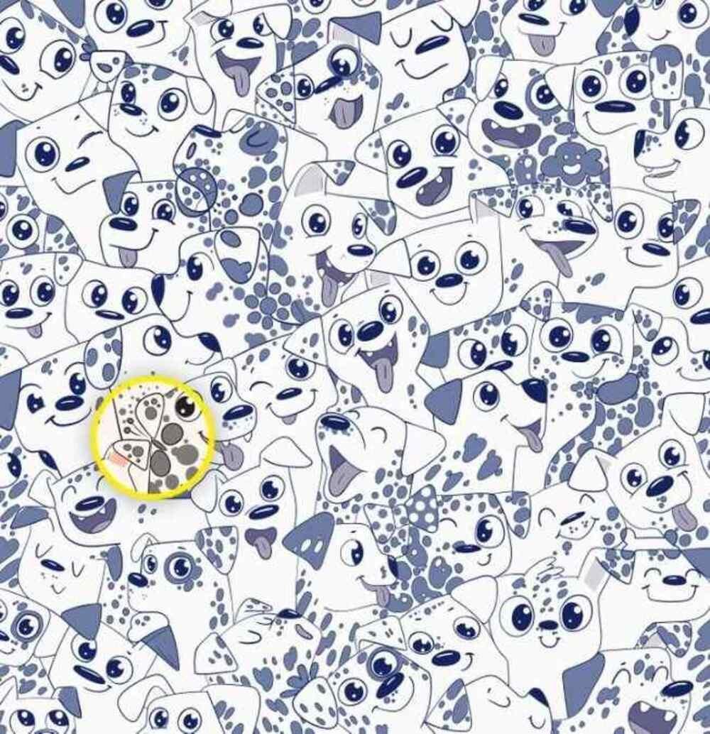 Fjärilen var till höger / teckning av Brightside Fjärilen var på höger sida / Brightside-teckning