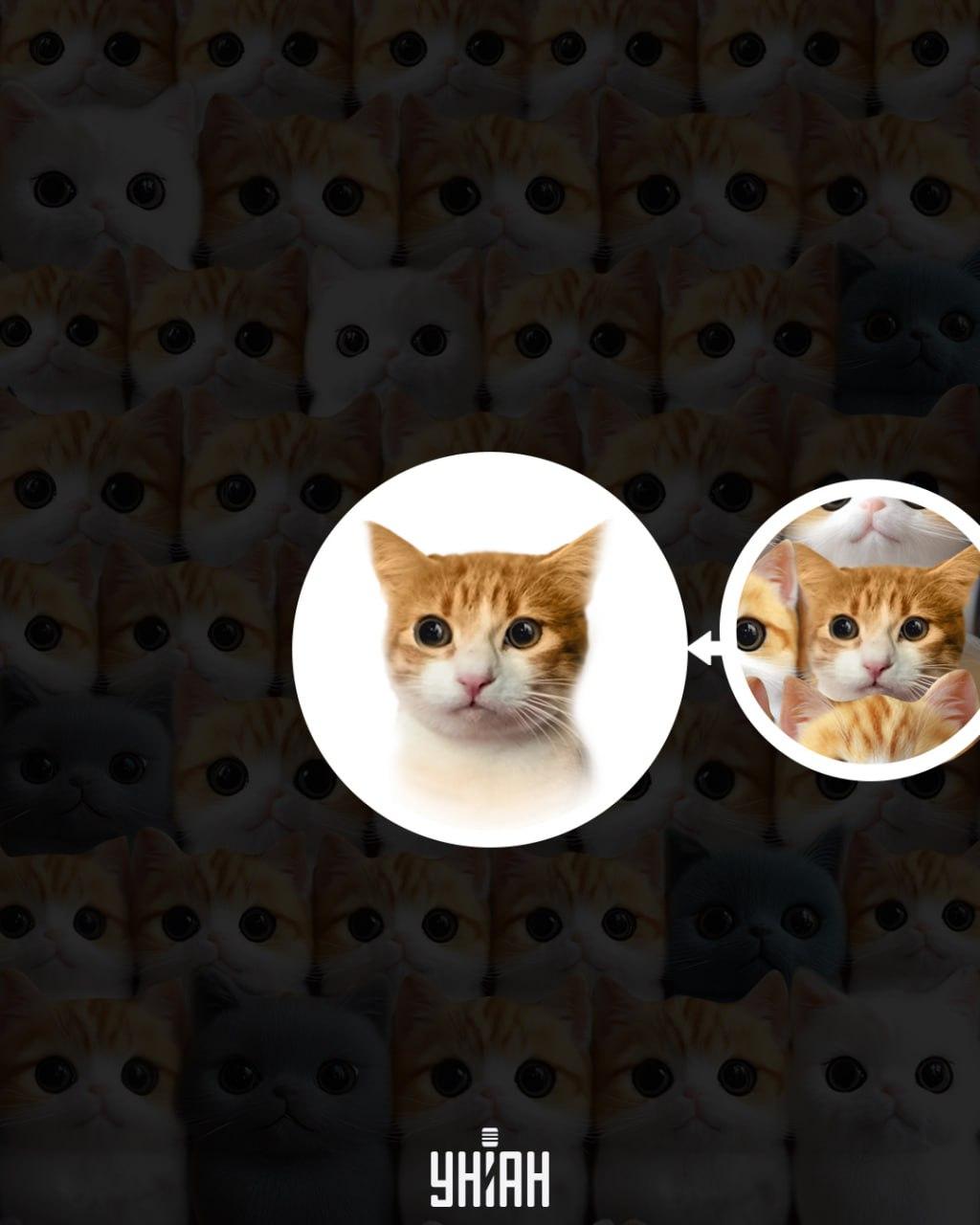 Moje collage Moje collage