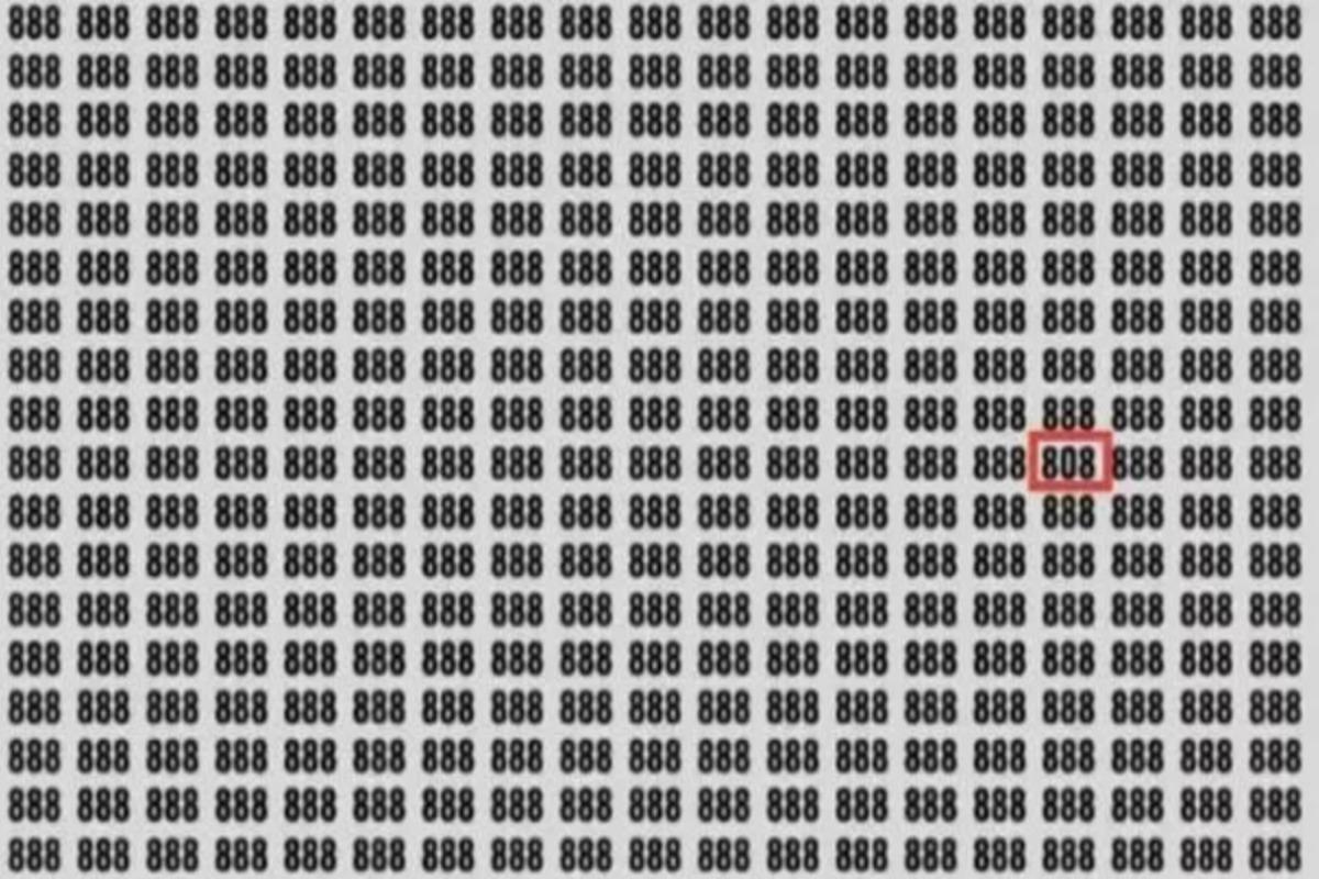 Svaret på gåtan / foto av Jagran Josh Svaret på gåtan / foto av Jagran Josh