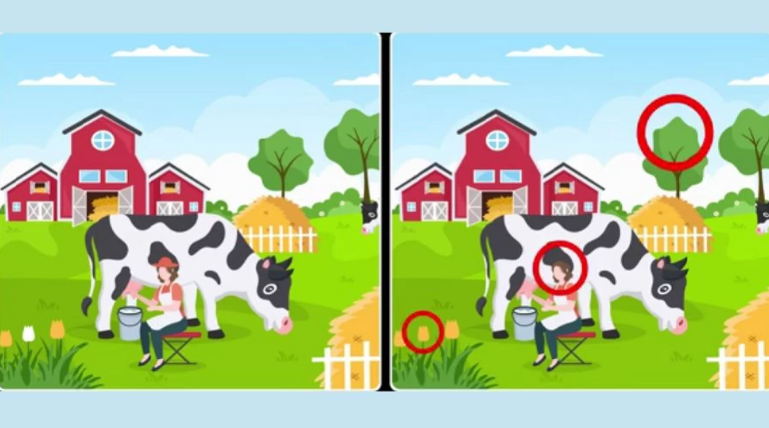 Fresherslive foto Fresherslive foto