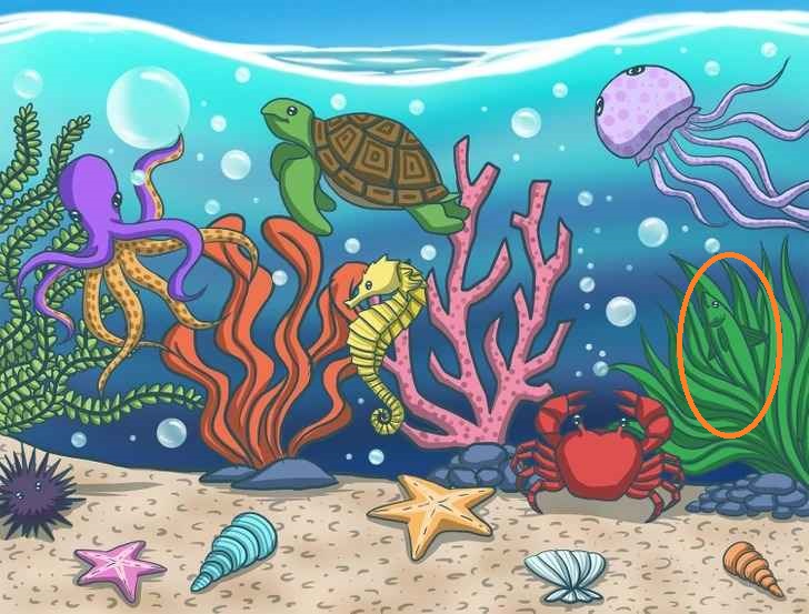 Optisk illusion Optisk illusion