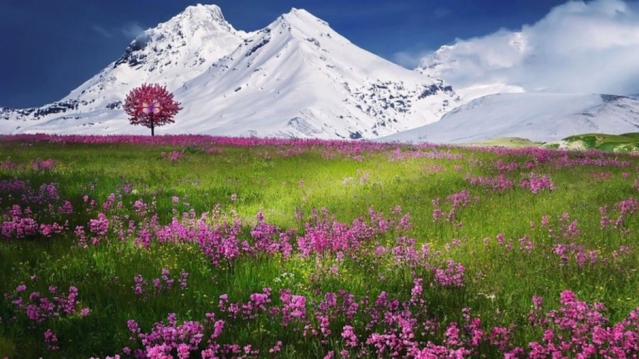 Berg, optisk illustration Berg, optisk illustration