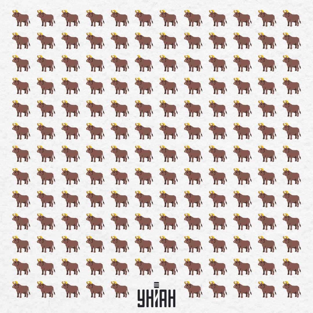 Det finns 154 av dem här, men en är inte så här - du borde se den på 10 sekunder / Moje Collage Det finns 154 av dem här, men en är inte så här - du bör se den på 10 sekunder / Moje Collage