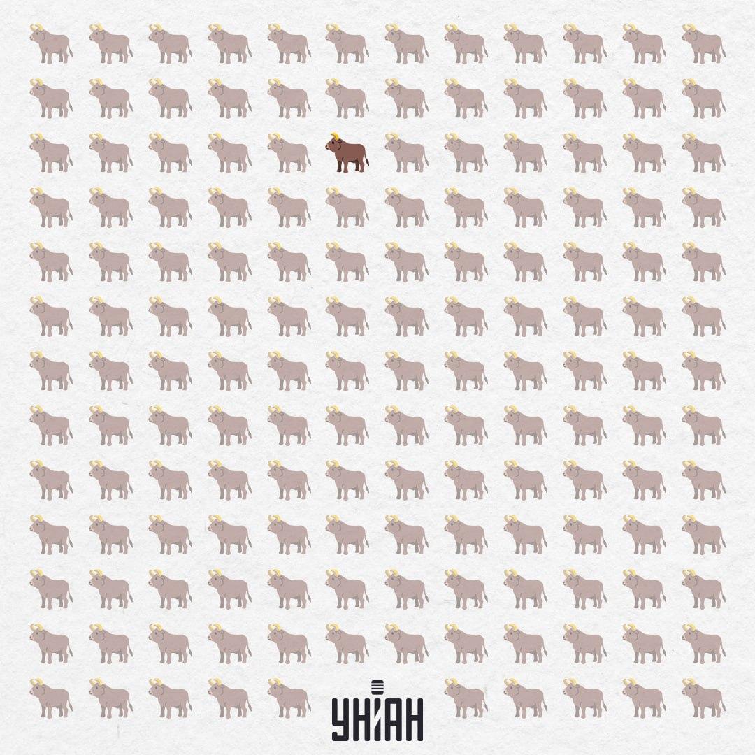 Han gömde sig i mitten, nästan ända uppifrån / Moje Collage Han gömde sig i mitten, nästan uppifrån / Moje Collage