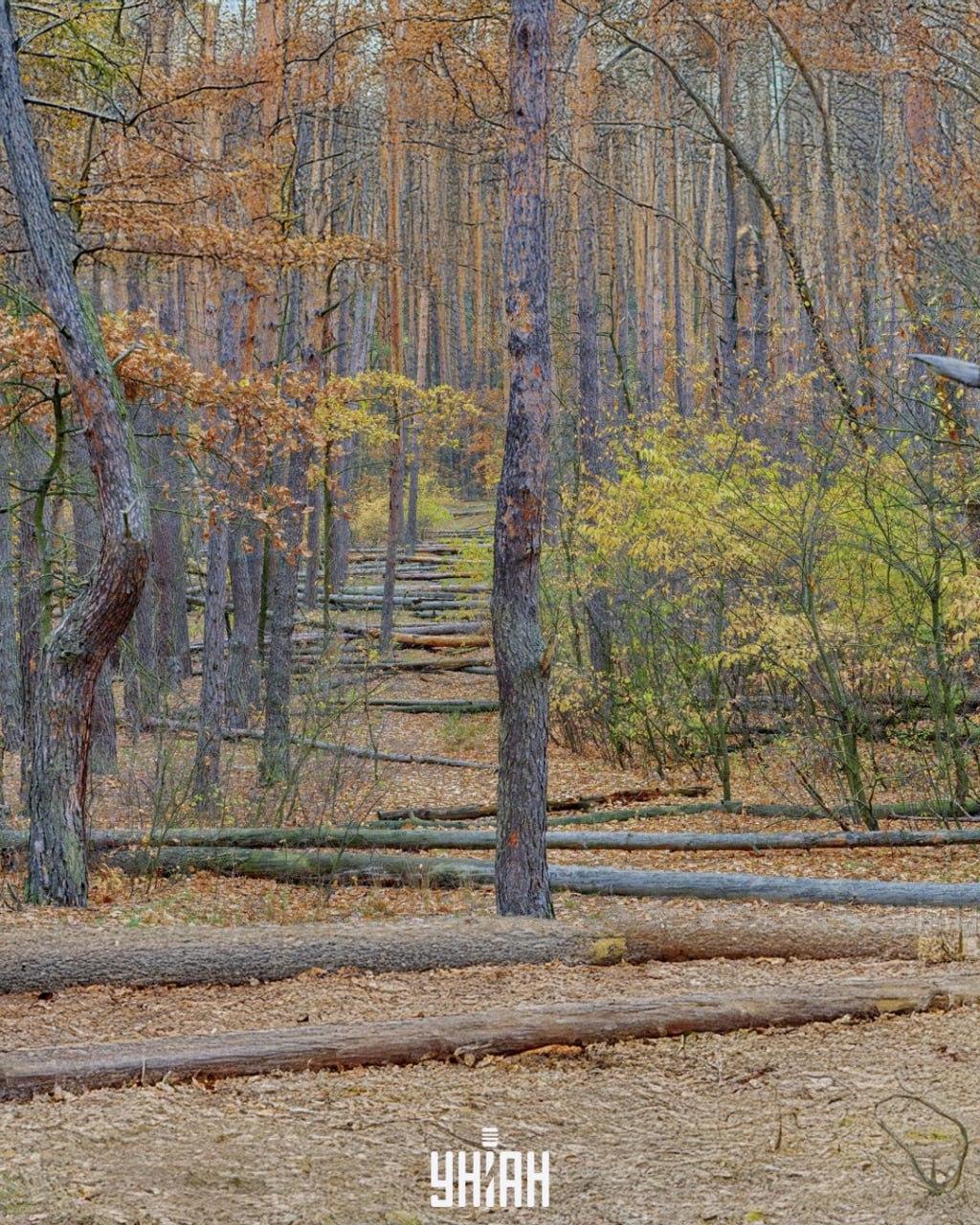 foto av Moje, Falin Volodymyr