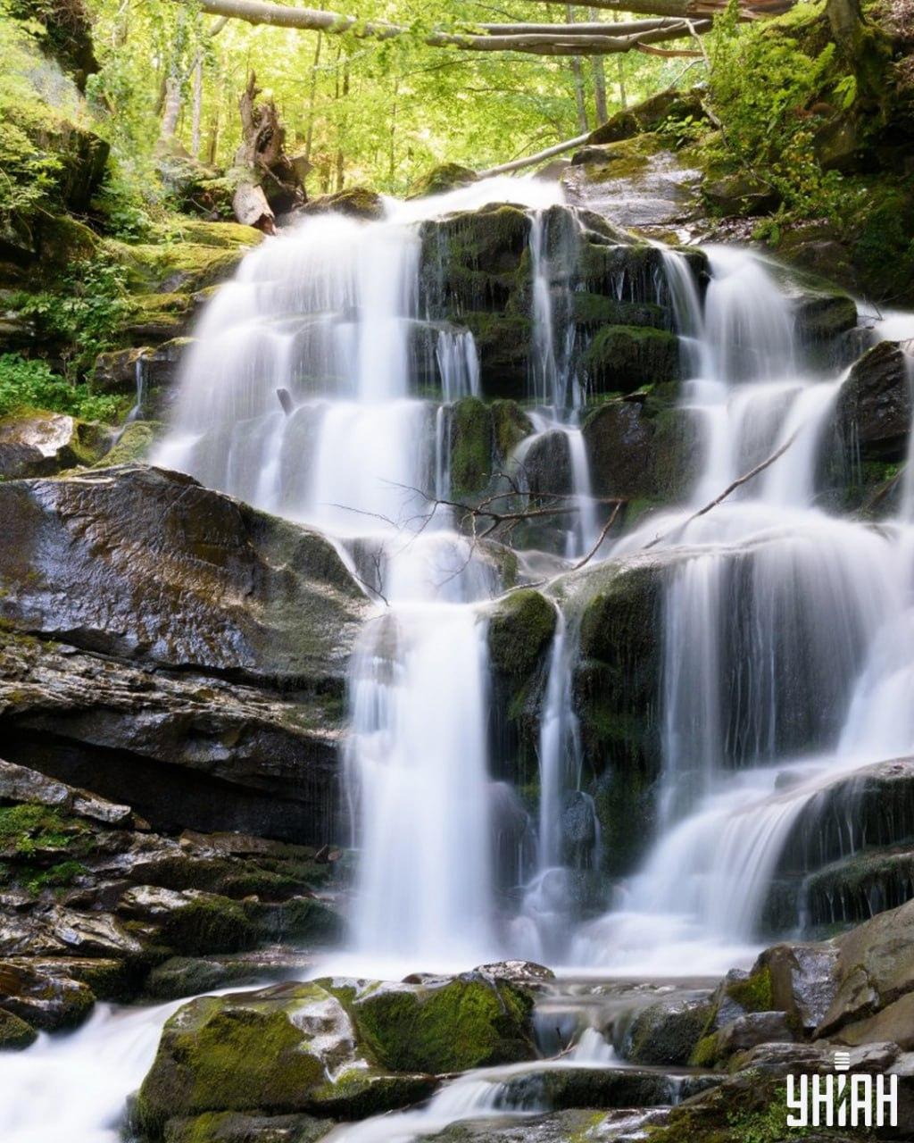 Vi måste hitta en ekorre på ett klurigt pussel / collage Moje Hitta en ekorre på ett klurigt pussel / Moje collage