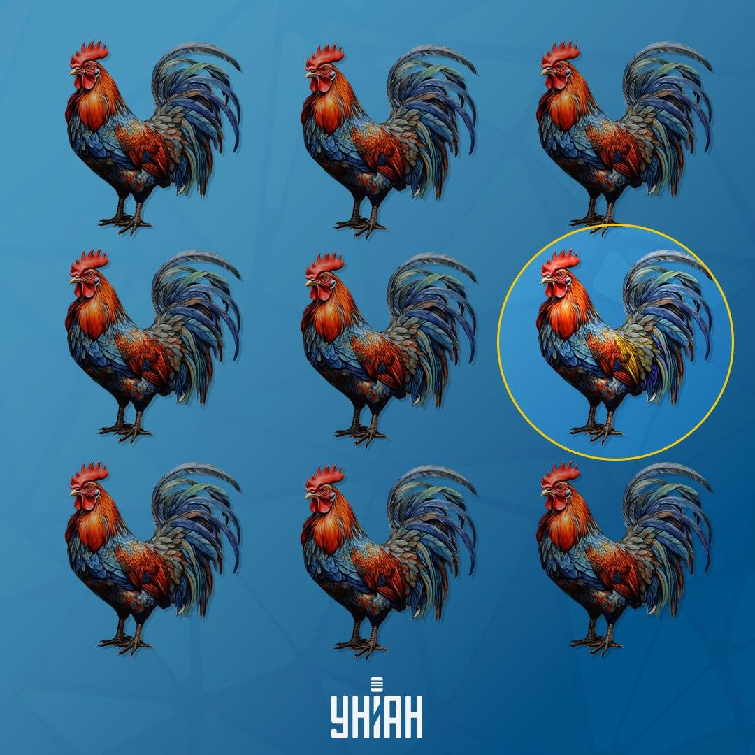 Tuppen, som skiljer sig från andra, var till vänster / Moje-collage Tuppen, som skiljer sig från de andra, var till vänster / Moje-collage