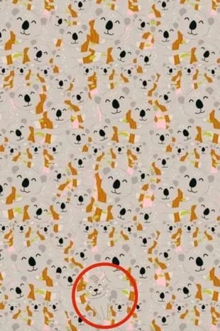 Kan du se kaninen nu? Kan du se kaninen nu?