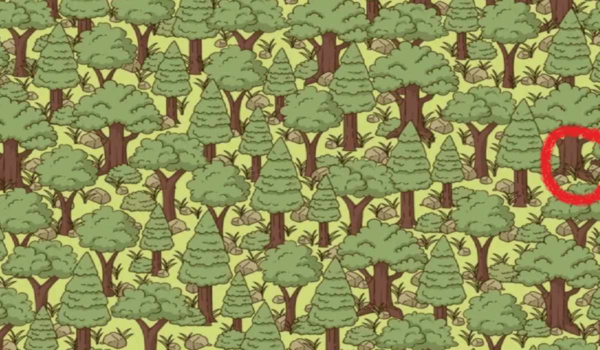 foto av Jagran Josh foto av Jagran Josh