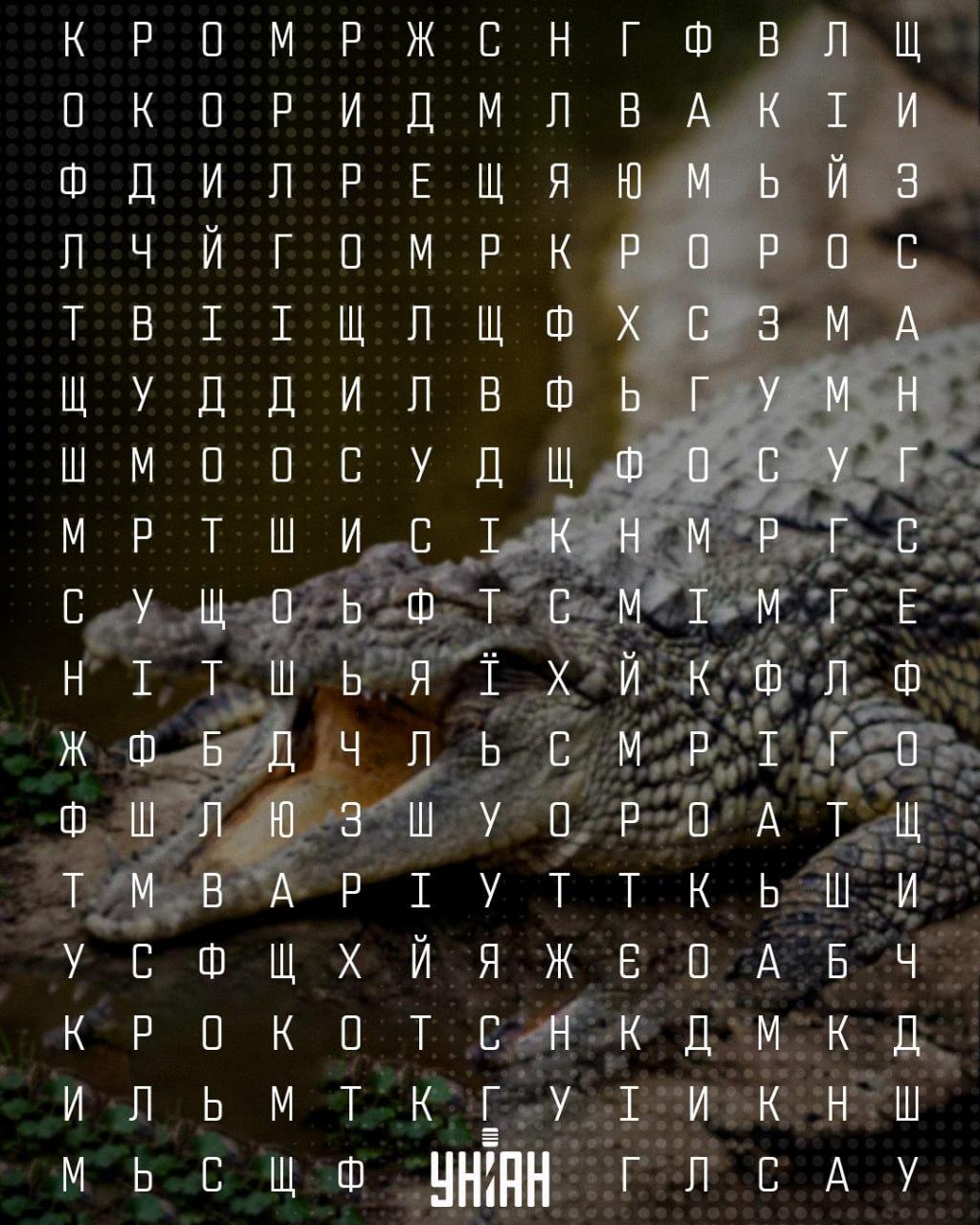 Moje collage Moje collage