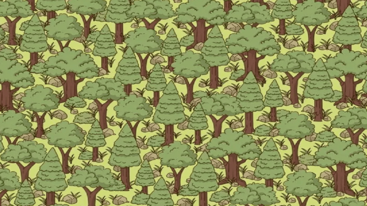 foto av Jagran Josh foto av Jagran Josh