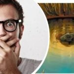 Det som såg bilden först: en optisk illusion som blev en hit på TikTok Det som såg bilden först: en optisk illusion som blev