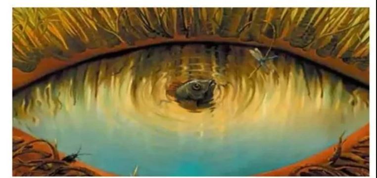 Optisk illusion - vad du ser först