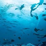 Det svåraste mindfulness-pusslet: Var är de två ansiktena gömda? Det svåraste mindfulness-pusslet: Var är de två ansiktena gömda?