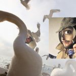 En märklig fågel gömmer sig bland fiskmåsar och svanar: ett fantastiskt pusselspel En märklig fågel gömmer sig bland fiskmåsar och svanar: ett