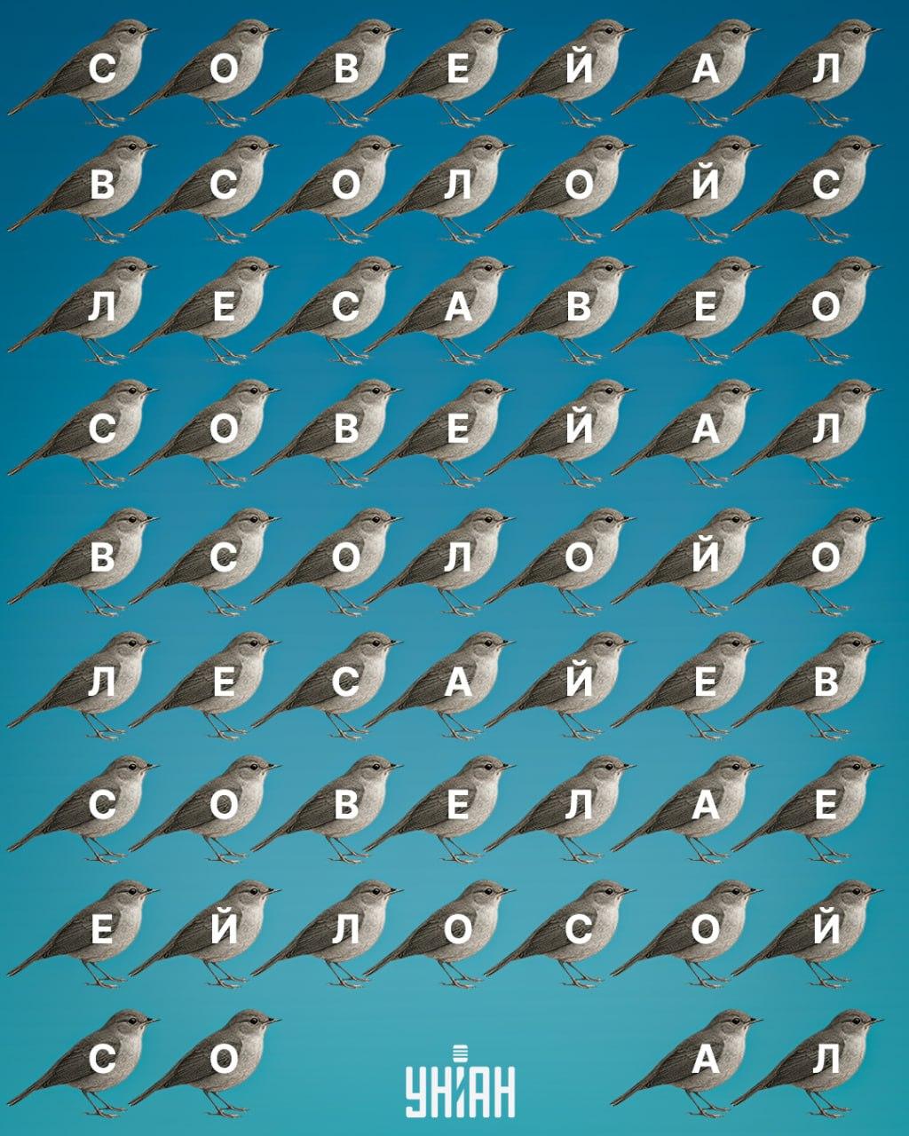 Moje collage Moje collage