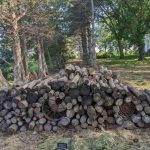 Ett pussel för de mest glada och påhittiga: du måste hitta katten på 7 sekunder. Ett pussel för de mest glada och påhittiga: du måste