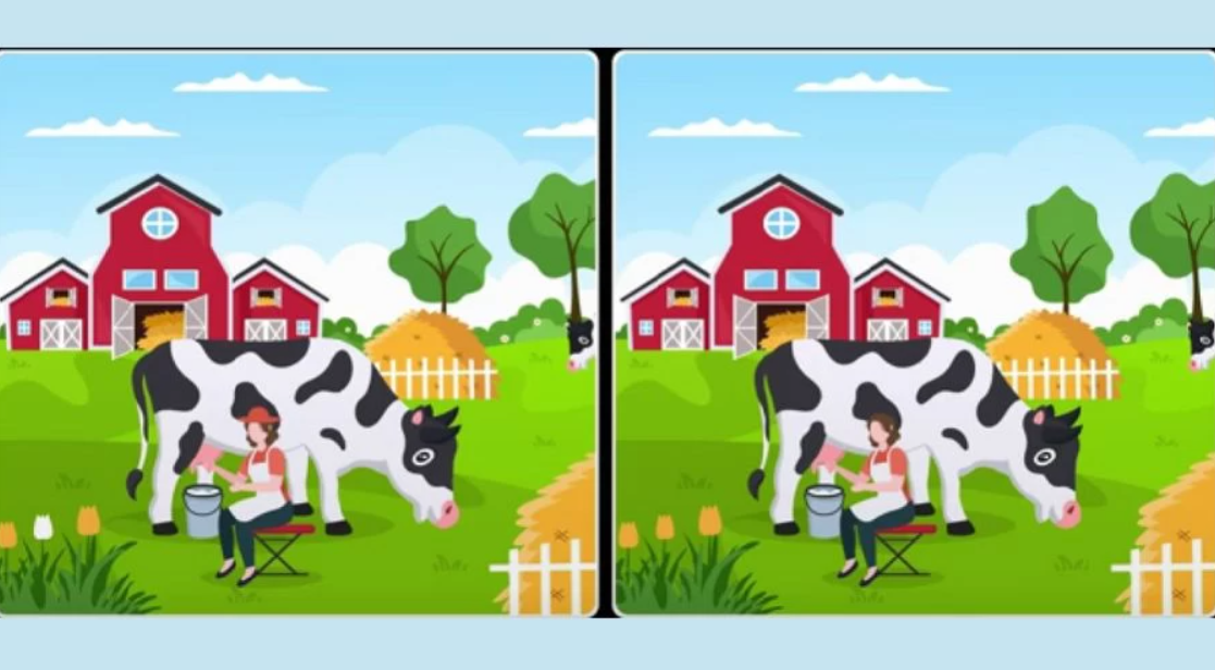 Fresherslive foto Fresherslive foto