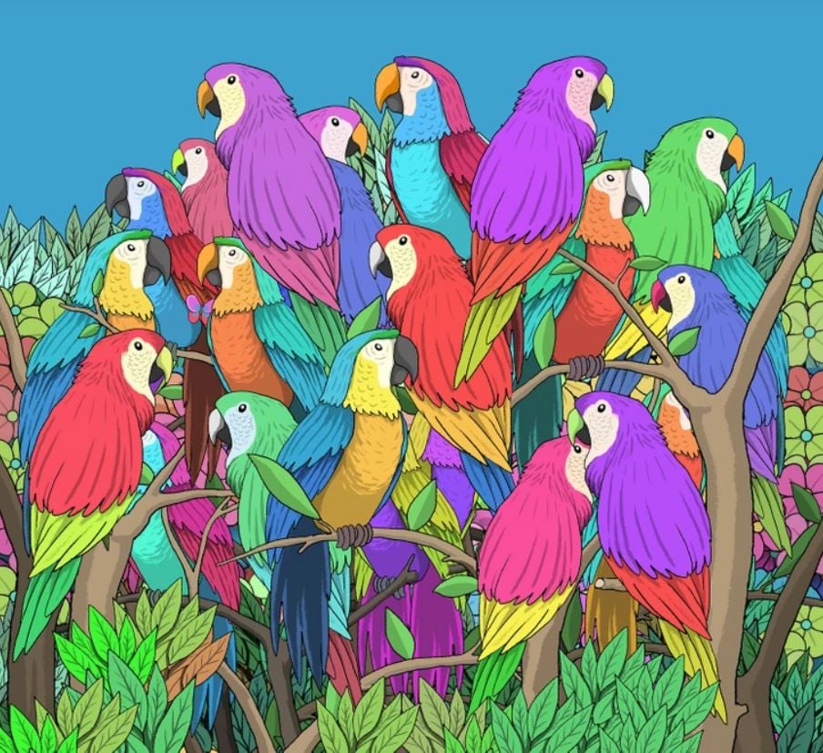 Uppmärksamhetstest - hitta fjärilen