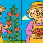 IQ-test: hitta 3 skillnader i bilder av en gammal dam på 51 sekunder IQ-test: hitta 3 skillnader i bilder av en gammal dam