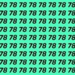 Rebus för dem med utmärkt syn: du måste hitta siffran 87 på 7 sekunder. Rebus för dem med utmärkt syn: du måste hitta siffran