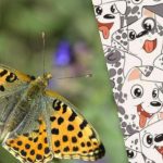 Smart som Sherlock eller inte: ett pussel för att testa din IQ Smart som Sherlock eller inte: ett pussel för att testa