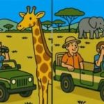 Super IQ-test: hitta 3 skillnader i en bild av turister på 41 sekunder Super IQ-test: hitta 3 skillnader i en bild av turister