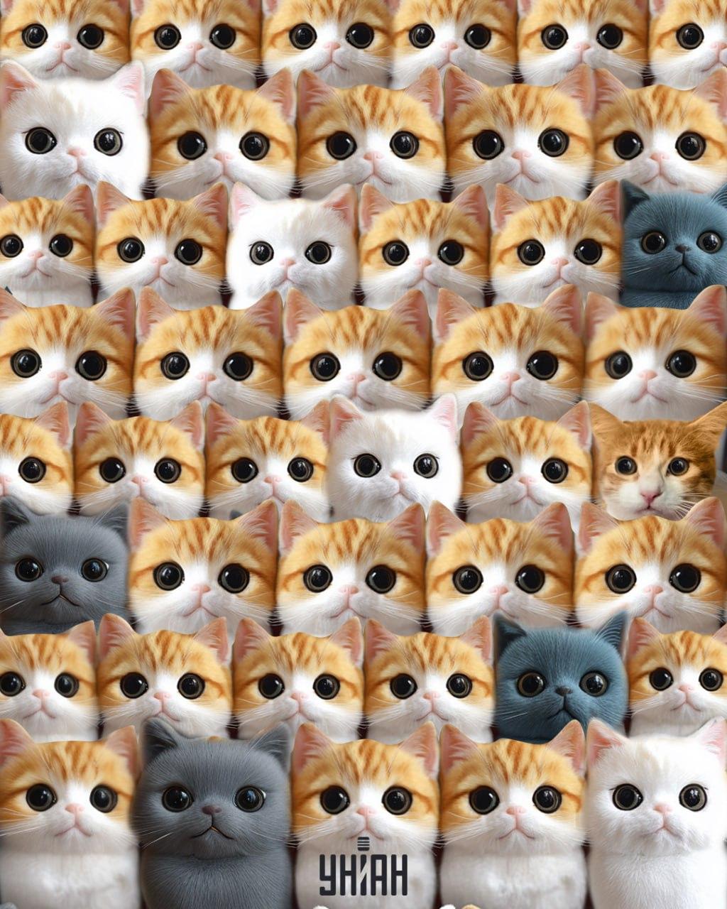 Moje collage Moje collage